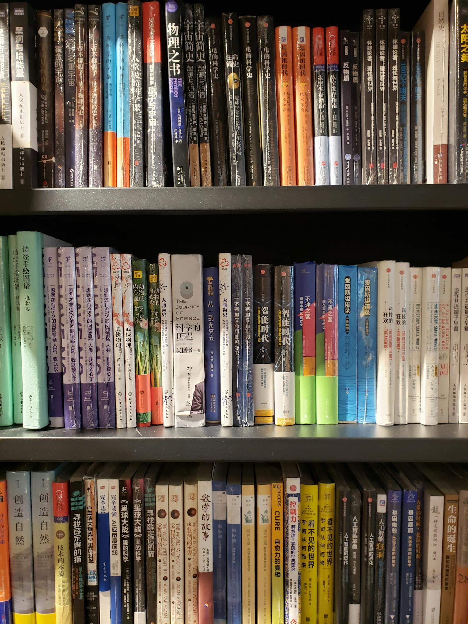 A vibrant array of books on a library shelf in China showcasing diverse genres.